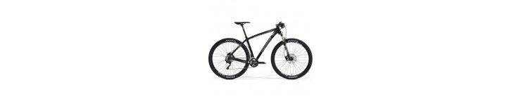 MTB 29''